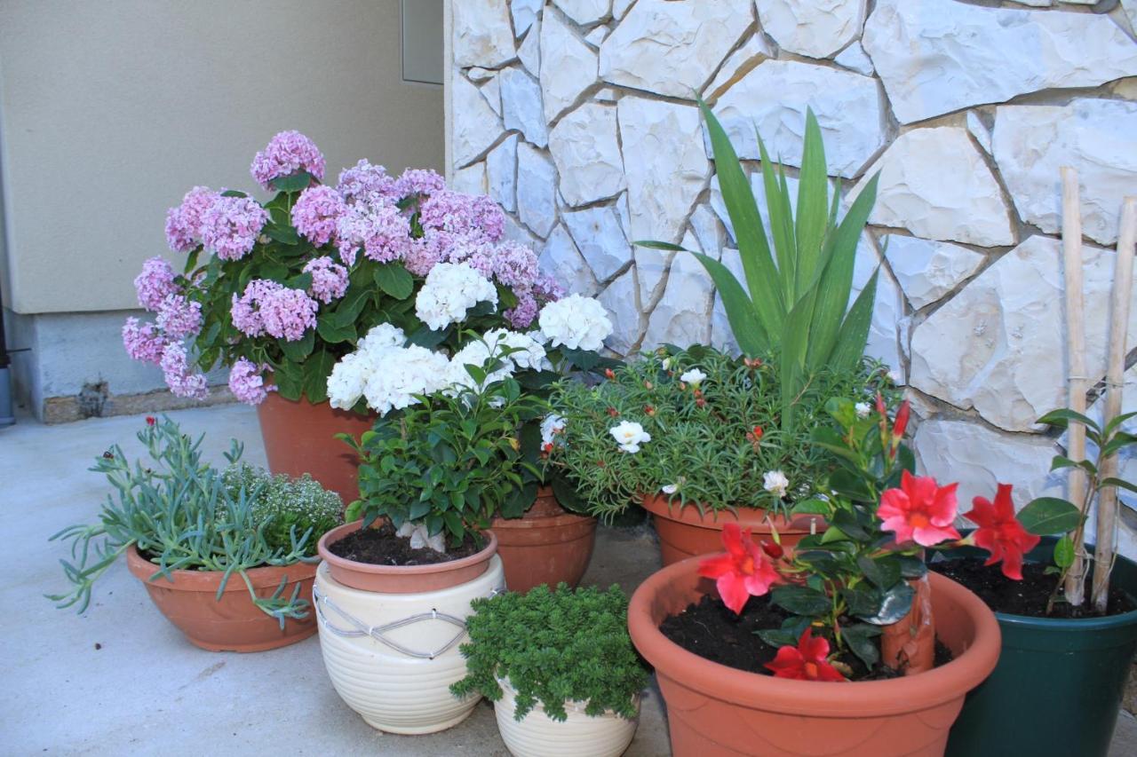 Apartments With A Parking Space Punta Kriza, Cres - 8082 Екстериор снимка