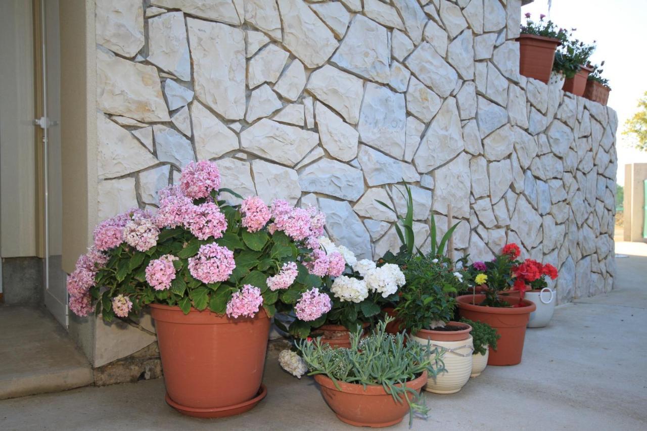 Apartments With A Parking Space Punta Kriza, Cres - 8082 Екстериор снимка